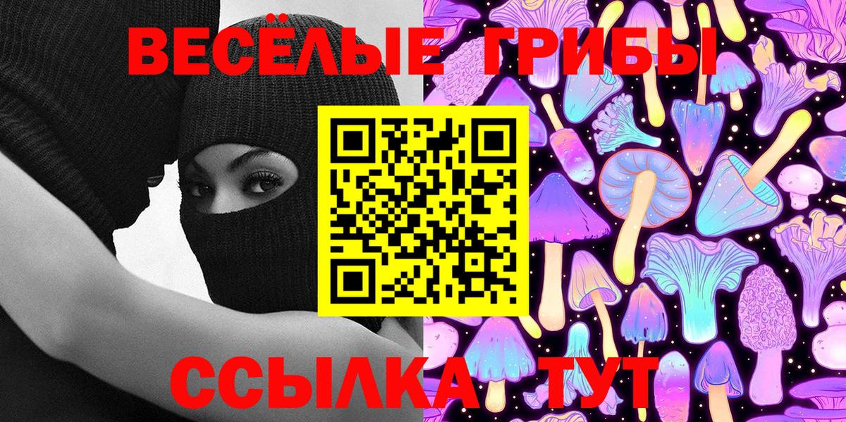 Галлюциногенные грибы MAGIC MUSHROOMS Камень-на-Оби